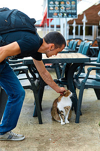 这只猫在咖啡厅的夏季阳台 坐在桌子下等着吃饭呢餐厅毛皮城市街道露台流浪猫咪火鸡人行道咖啡店图片