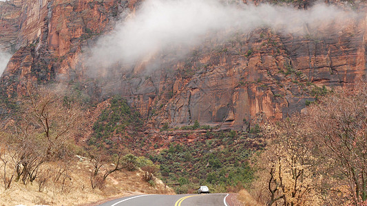 美国犹他州锡安峡谷的红色陡峭悬崖 搭便车旅行 美国旅行 秋天的旅程 雨水 岩石和光秃秃的树木 多雾的天气和平静的秋天气氛 有黄色图片