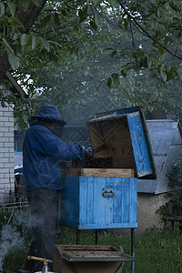 蜜蜂房子养蜂员和蜜蜂一起工作 养蜂 养蜂概念帽子男性蜂蜡动物房子蜂巢生意盒子生物学农业背景