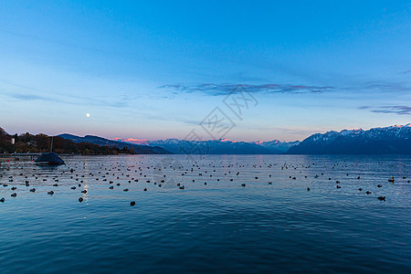 洛桑秋季黄昏时分 莱蒙湖 日内瓦湖 的壮丽全景 美丽的白雪覆盖的法国阿尔卑斯山脉和背景中的蓝天月亮 瑞士沃州图片