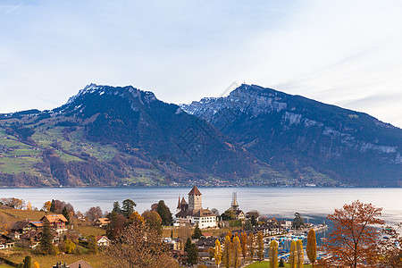 在阳光明媚的秋日 金色的秋日 施皮茨镇和图恩湖与瑞士阿尔卑斯山和尼德霍恩的壮丽全景尽收眼底 树 伯尔尼高地 瑞士图片
