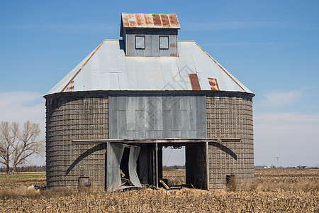 克拉克斯顿麦田内布拉斯加(Nebraska)的玉米田背景