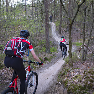 男人骑着山车 在春林中 靠近荷兰的乌勒支踪迹行动冒险骑术头盔山地车活动森林成人竞赛图片
