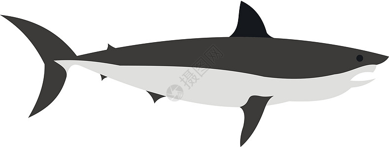 平面样式中的鲨鱼图标图片
