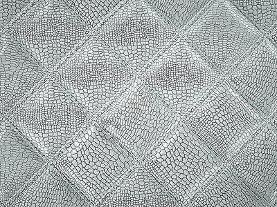 鳄鱼皮或鳄鱼皮方形缝合纹理家具渲染正方形3d接缝皮革纺织品荒野爬虫商业图片