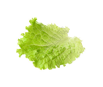 在白色背景 健康食物上隔离的绿生菜叶饮食沙拉叶子营养农场绿色蔬菜植物图片
