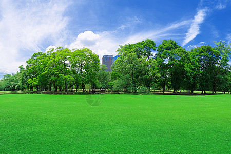 在城市公园 草坪蓝色公园建筑建筑学土地花园草地城市风景场地图片