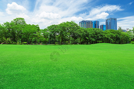 在城市公园 草坪土地花园场地建筑学晴天天空自由风景办公室蓝色图片