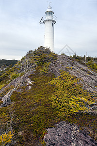 King Cove王湾首灯塔市中心支撑日落国王地标建筑学多云蓝色湾头旅行图片