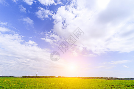 在领域的夏天晴朗的风景 美丽的夏日风景 白天在阳光下的照片 俄罗斯的性质草地植物地平线季节农村植物群农田环境农场蓝色图片
