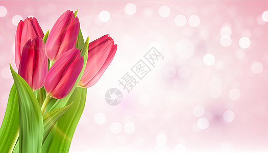 逼真的天然粉红色郁金香花背景 它制作图案矢量郁金香装饰植物绘画墙纸季节花束叶子花朵植物群图片