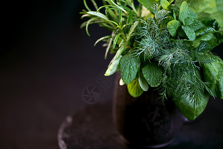 黑底黑杯中的薄荷 迷迭香 调味料 阿鲁古拉和菠菜香料食物芳香植物辣椒桌子枝条胡椒美食蔬菜图片