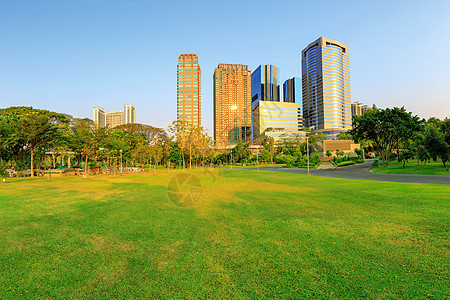 晚上的绿草坪有城市背景 是绿色的图片