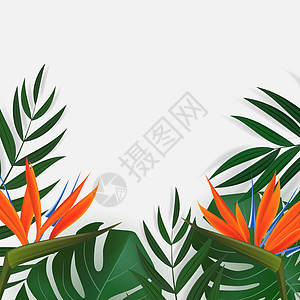 自然逼真的绿色棕榈叶与鹤望兰花热带背景 矢量图 Eps1卡片艺术叶子森林异国框架棕榈边界丛林金子图片