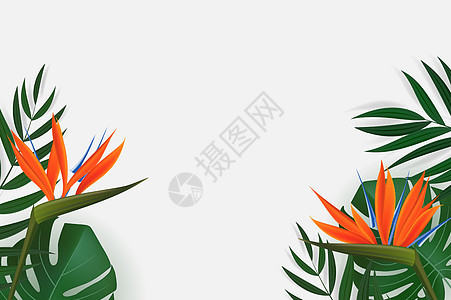 自然逼真的绿色棕榈叶与鹤望兰花热带背景 矢量图 Eps1卡片森林金子植物棕榈叶子天堂邀请函边界框架图片