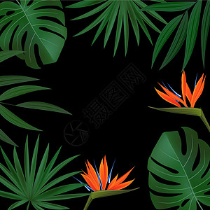 自然逼真的绿色棕榈叶与鹤望兰花热带背景 矢量图 Eps1边界金子天堂插图植物丛林卡片森林艺术棕榈图片