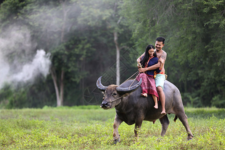 老子骑牛泰国田野上骑水牛的泰国农民家庭幸福时光 泰式旅行车生活农村女性乡村农业环境山地收获旅行背景
