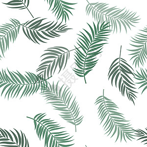 热带棕榈叶无缝图案背景 它制作图案矢量假期异国植物织物棕榈森林叶子丛林艺术墙纸图片