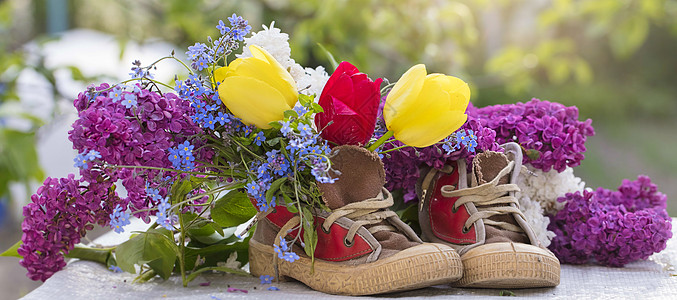 穿着旧鞋的一束夏花的旗帜 淡紫色的郁金香从运动鞋中长出来 春季和夏季花卉背景背景图片