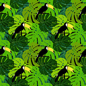 热带巨嘴鸟鸟和棕榈叶无缝图案背景设计 它制作图案矢量鸟类植物墙纸动物插图海滩丛林野生动物艺术树叶图片