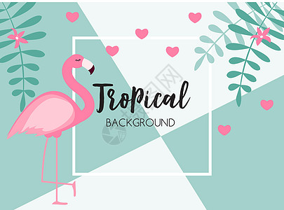 可爱的夏季抽象框架背景与粉红色的火烈鸟矢量它制作图案动物园纺织品情调墙纸野生动物海滩艺术荒野薄荷插图图片