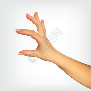 逼真的 3D 手部轮廓显示您手指的大小以及插入某物的能力 它制作图案矢量卡通片皮肤手臂帮助手势绘画插图拇指白色图片