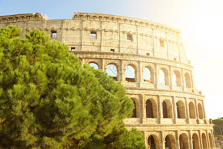 日落时在罗马 意大利 欧洲竞技场地标角斗士纪念碑历史性吸引力城市剧院体育场旅行图片