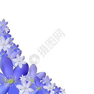 抽象简单花卉图案背景墙纸艺术品艺术白色织物花朵插图装饰品装饰风格背景图片