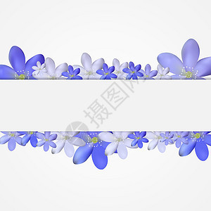 抽象简单花卉图案背景风格墙纸装饰花朵艺术品纺织品织物插图装饰品艺术背景图片