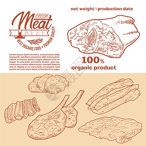 科尔沁牛肉新鲜生肉雕刻设计产品羊肉涂鸦烹饪火腿熏肉家禽菜单绘画羊排插画