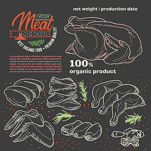 模板框架中的生肉羊排屠夫标签熏肉菜单收藏插图涂鸦店铺营养图片