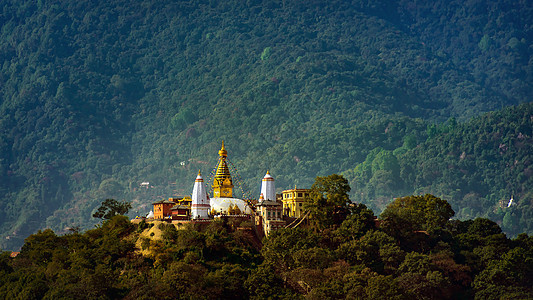 尼泊尔加德满都的地标金子遗产猴庙文化爬坡旅游旅行精神建筑学图片
