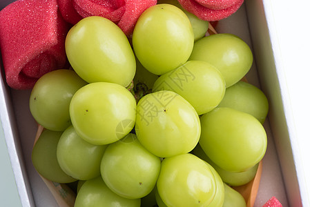 白色背景的绿葡萄 被隔离在白底边上 这颗绿色葡萄果汁收成小路礼物盒礼物甜点销售市场水果奢华图片
