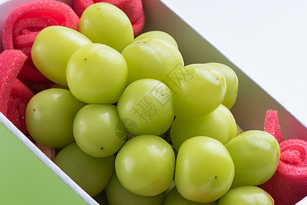 白色背景的绿葡萄 被隔离在白底边上 这颗绿色葡萄奢华产品美食收成剪裁小路礼物市场饮食礼物盒图片