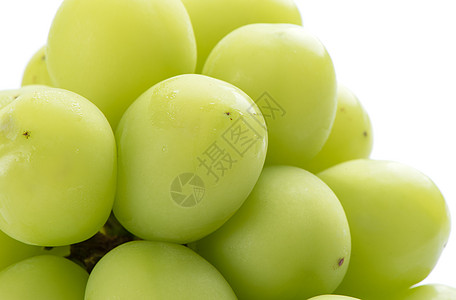 美丽的一帮神马斯喀特绿葡萄 孤立在白色背景营养产品收成甜点小路饮食美食剪裁果汁食物图片