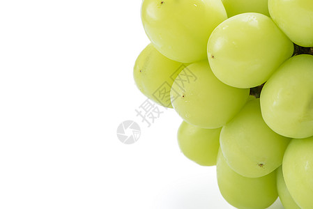 美丽的一帮神马斯喀特绿葡萄 孤立在白色背景产品礼物收成营养甜点销售小路果汁市场水果图片