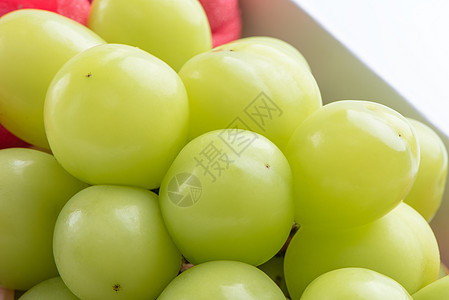 白色背景的绿葡萄 被隔离在白底边上 这颗绿色葡萄甜点饮食盒子果汁礼物盒市场奢华小路食物收成图片