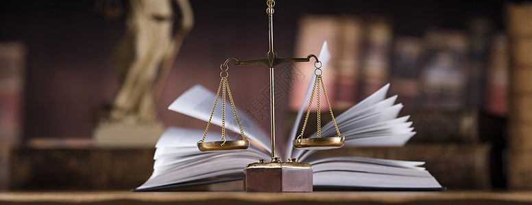 书籍 司法规模概念犯罪立法法律木头合法性起诉锤子判决书智慧系统图片
