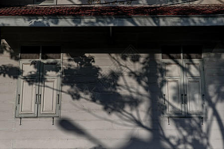 旧墙上两扇树窗的树影正在闪烁房子城市金属框架阴影建筑学玻璃建筑窗户木头图片
