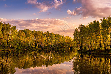 太阳升起在一个池塘上 树枝沿着岸边生长 夏天天空在水中反射风景日出倒影薄雾阴霾射线桦木树林叶子树干图片