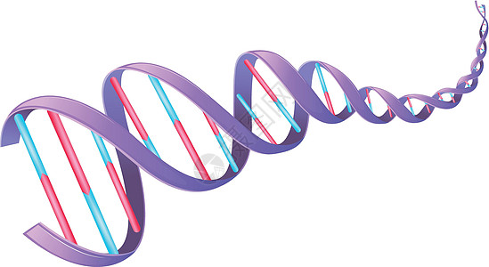 人类DN嘌呤菌类生物蓝图技术绘画教育螺旋纽带核糖图片