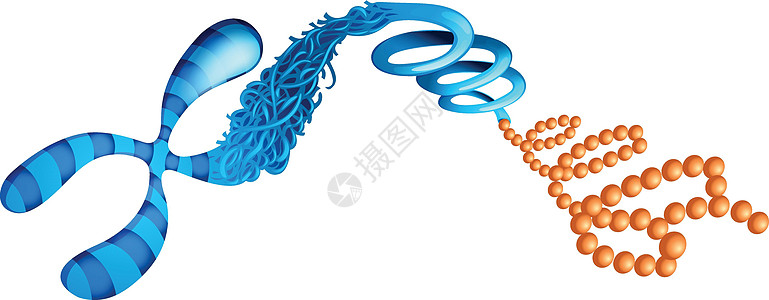 脱氧核糖核酸蓝色图表螺旋细胞嘌呤顺序科学身体基因技术图片