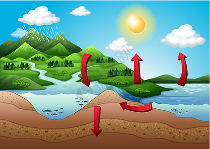 水循环科学凝华动物群植物沉淀融雪渗漏盐水水流植物群图片