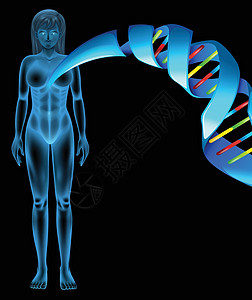 脱氧核糖核酸染色体细胞原子插图身体嘌呤基因顺序技术生物图片