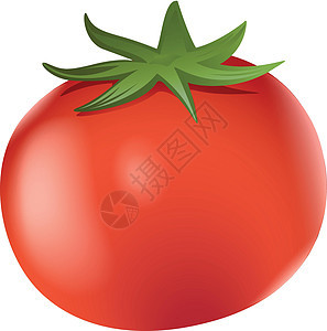 一个大的成熟番茄杂交种食物水果植物科绘画小行星酱料被子植物菜肴背景图片
