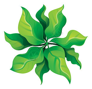 绿色计划的鸟瞰图办公室多叶植物学白色进化枝鸟眼绘画花盆天线装饰品背景图片
