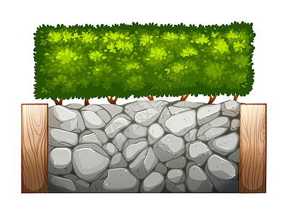 有植物的石墙绿色绘画镶板石膏板科学石头障碍分割树叶栅栏图片