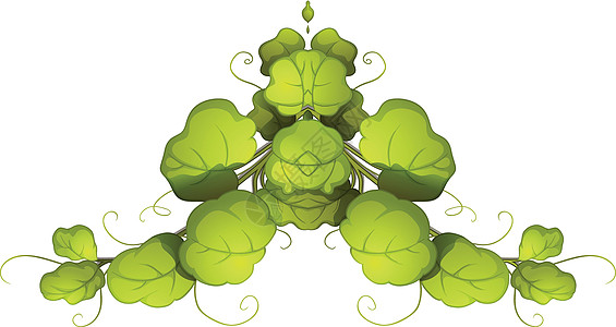 绿叶计划绘画白色多叶绿色光合作用二氧化碳血管植物资源树叶图片