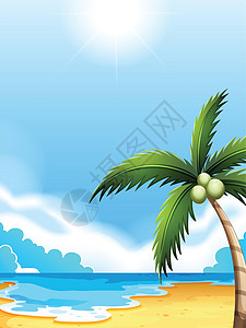 有椰子树的海滩图片
