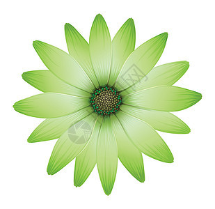 一朵绿色花瓣的花图片